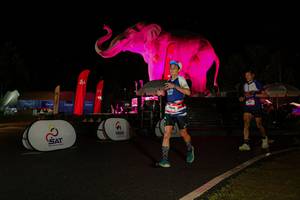 BIB: 
                            <button type="button" onclick="openModal(26535302)" class="btn btn-primary btn-sm float-right btn-popup" data-toggle="modal" data-target=".modal-high-quality">
                        <i class="fas fa-shopping-cart"></i> Add to Cart
                    </button>
                                            <button type="button" onclick="isThisMe(26535302, true)" class="btn btn-success btn-sm float-right btn-popup btn-isme hidden" data-toggle="tooltip" data-placement="bottom" title="นี่คือรูปของคุณใช่ไหม คลิกที่นี่เพื่อเอาเข้าอัลบั้ม">
                        <i class="fas fa-plus"></i> Add to album
                    </button>
                    <button type="button" onclick="isThisMe(26535302, false)" class="btn btn-warning btn-sm float-right btn-popup btn-isnotme hidden">
                        <i class="fas fa-ban"></i> Remove from album
                    </button>